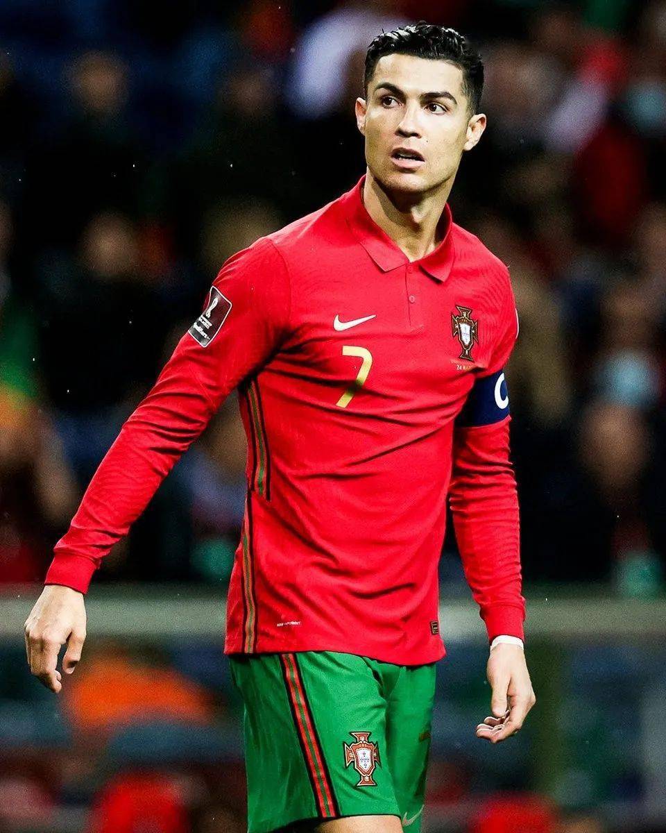 也收获了深 也收获了深