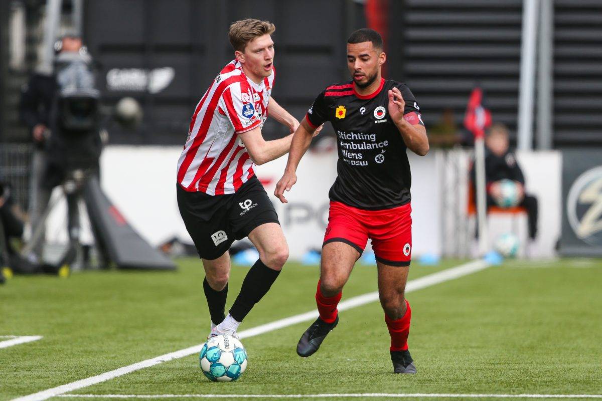 獅的强势挑 獅的强势挑